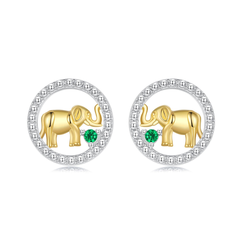 925 Sterling Silver Earrings with CZ in White Gold Plated for Women