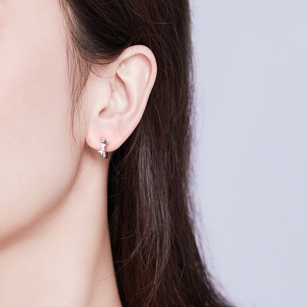 S925 Sterling SilverCZ Earrings for Women