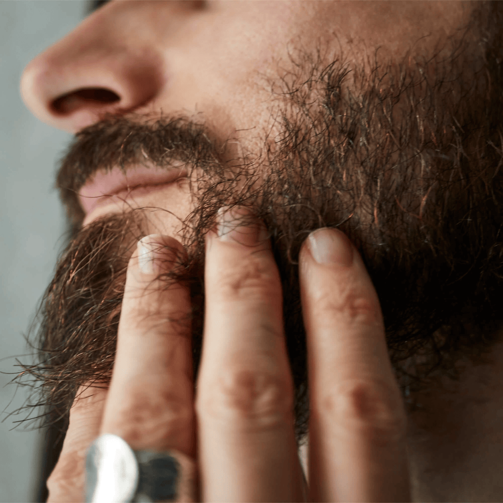 Organic Beard Oil for Men – Full Care Black Edition, Dry Non-Greasy Blend, 30mL