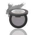 Polished Pewter Color Pro Eyeshadow